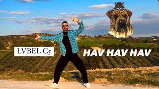 Hav Hav Hav - Zumba Choreography By Michael Mahmut  - Lvbel C5