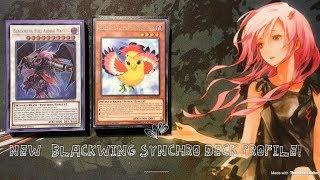 Yu-Gi-Oh! 2018 BlackWing Deck Profile! *New Support Included*