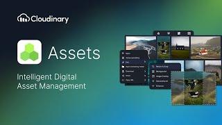 Cloudinary Assets: The AI-Powered, API-First DAM for Visual Storytellers