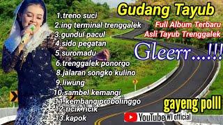 Tayub terbaru asli tayub trenggalek yang enak di dengar bass glerrrrr ful album terbaru