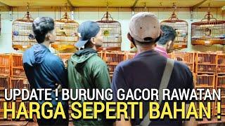 BEDA KELAS ! BURUNG GACOR RAWATAN KINI HARGA SEPERTI BAHAN DI PASAR BURUNG PRAMUKA HARI INI