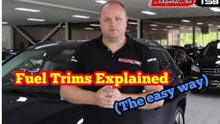 Fuel trims explained (the easy way)