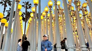LACMA's Urban Lights: A Mesmerizing Display of Art and Culture in Los Angeles