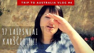 #6 VLOG kelionė į Australiją. Sidnėjus. Kaip jaučiuosi kai 37 laipsniai karščio