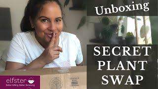 Secret Plant Swap Unboxing Wishlist Plants | Elfster App