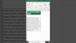 Excel Shortcuts - 0023 - Zeilenumbruch in einer Zelle bei Windows #Shorts