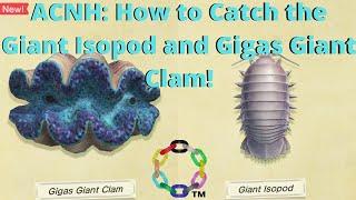 ACNH Diving: How to Catch Giant Isopod and Gigas Giant Clam!