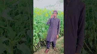 تیڈی راہ بھلیندےماہی آ#vlogs #video #viral #vlogsvideo #saado #shortvideo #tiktokvideo