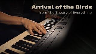 Arrival of the Birds - The Cinematic Orchestra (from The Theory of Everything) \\ Jacob's Piano