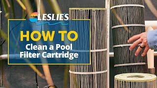 How to Clean a Pool Filter Cartridge | Leslie's