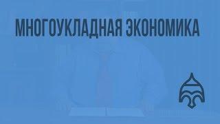 Многоукладная экономика. Видеоурок по истории России 11 класс