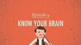 Meet Your Master - Getting to Know Your Brain: Crash Course Psychology #4