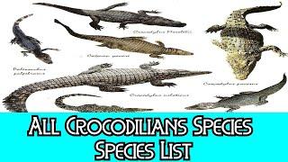 All Crocodilians Species - Species List