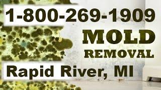 Mold Removal Rapid River MI 1-800-269-1909 | Mold Remediation Rapid River Michigan