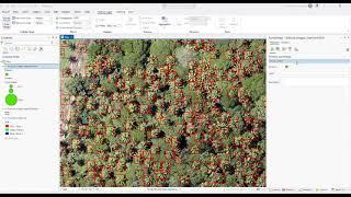 Deep Learning for Palm Tree Detection in High-Resolution Imagery | ArcGIS Pro AI Mapping.