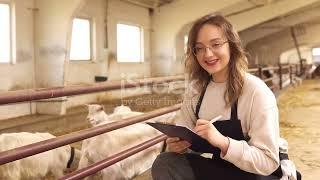 How to Create a Goat Farming Business Plan: Step-by-Step Guide