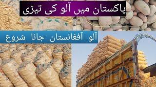 Our Complete Review of potato price today 03 April 2024 | Pakistan aalu ke rate Pakistan vegetable