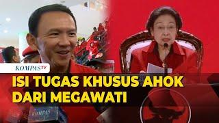 Ahok Ungkap Tugas Khususnya yang Diberikan Megawati