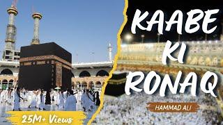 Kaabe Ki Ronaq | Hammad Ali | New Naats 2024