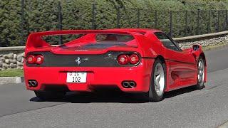 Ferrari F50 - PURE V12 ENGINE SOUNDS!