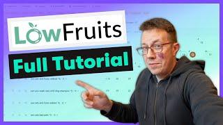 LowFruits.io REVIEW & TUTORIAL // Amazing SEO keyword tool!!!