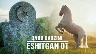 QABR OVOZINI ESHITGAN OT | ҚАБР ОВОЗИНИ ЭШИТГАН ОТ