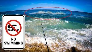 If you see this GET OUT OF THE WATER - Beach Fishing