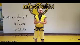 Dragon Gym - Fight Science Episode 2 - Meidebewegungen und Gravitation