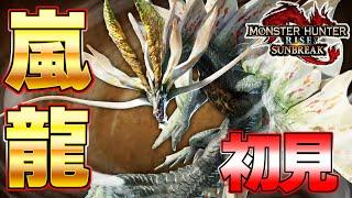 最終決戦！厄災の嵐龍 アマツマガツチ 太刀 ソロ 初見 生放送切り抜き『MHSB:モンスターハンターライズ：サンブレイク』