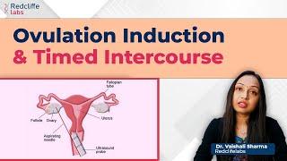 What is Ovulation Induction and Timed Intercourse | How is it done | By Dr. Vaishali from Redcliffe