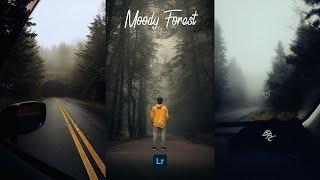 Moody Forest Presets - Lightroom Mobile Preset Free DNG & XMP | Forest Presets | Moody Presets