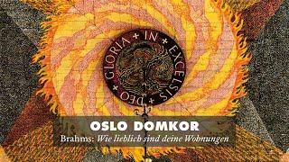 Oslo Domkor synger «Wie lieblich sind deine Wohnungen» av Brahms