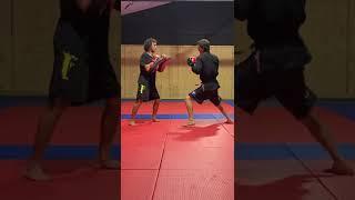 A combo focusing on the 3 different ranges and levels #shorts #mmacombo #muaythai #shortvideo