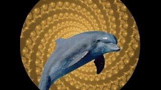 dolphin transformation parlor hypnosis mp3