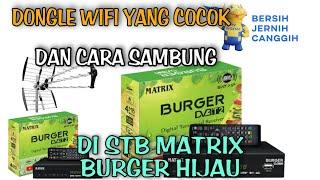Dongle Wifi Yang Cocok Dan Cara Sambung Ke STB Matrix Burger Hijau