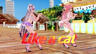 ≡MMD≡ HakuxLuka - Like a cat  / AOA [4KUHD60FPS]