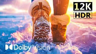 [12K HDR] Winter Wonderland in Dolby Vision™ | 12K Video Ultra HD