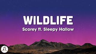 Scorey - Wildlife (Lyrics) ft Sleepy Hallow