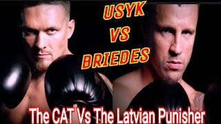 Oleksandr Usyk Vs Mairis Briedes Full Highlights