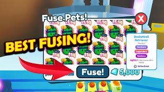  BEST FUSE METHOD FOR RAINBOW BASKETBALL RETRIEVER  PET SIMULATOR X