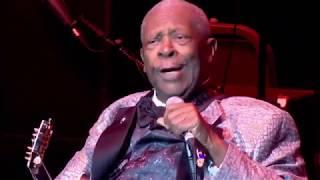 B B King Live At The Royal Albert Hall