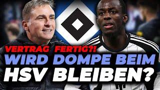 HSV verlängert mit FLÜGELSTAR DOMPE?! NEUE INFOS!