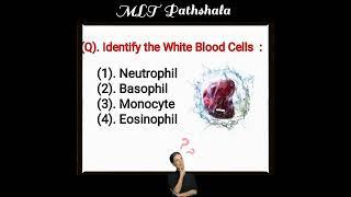 Lab Technician Questions ️ MLT MCQ  MLT Pathshala ️ Hematology MCQ