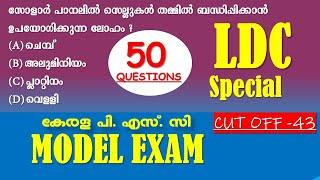 LDC മോഡൽ എക്സാം | Kerala PSC | ഈ ചോദ്യങ്ങൾ പഠിച്ചു വെച്ചോളൂ | LDC 2024 | LGS 2024 | SI | LSGS