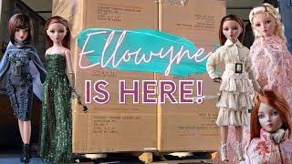 SURPRISE DOLL DELIVERY! | ELLOWYNE WILDE DOLLS ARRIVE IN COLORADO *so many boxes!*