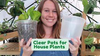 Clear Nursery Pots for House Plants?!  Why You Should Be Using Them If You're Not Already!