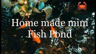 Mini Outdoor Fish Pond with Relaxing Music | Stress Reliever