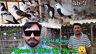 1 Khanta 24 Mint Ki Hawa : Record || Papo Ustad Hedrabad Wale Ka Kabootar | Kabotar Kj Video