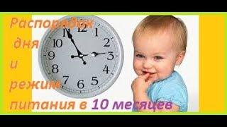 Распорядок дня ⏰ и режим питания  ребёнка  в 9-10 месяцев