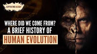 Where Did We Come From: A Brief History of Human Evolution